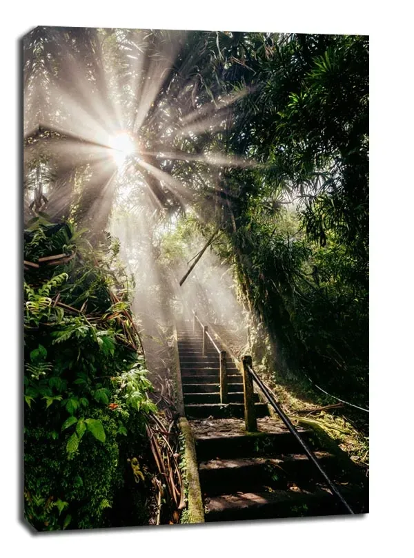 god-light-obraz-na-plotnie-90x120-cm