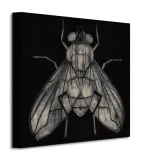 fly-obraz-na-plotnie-30x30-cm