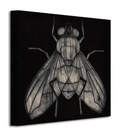 fly-obraz-na-plotnie-30x30-cm