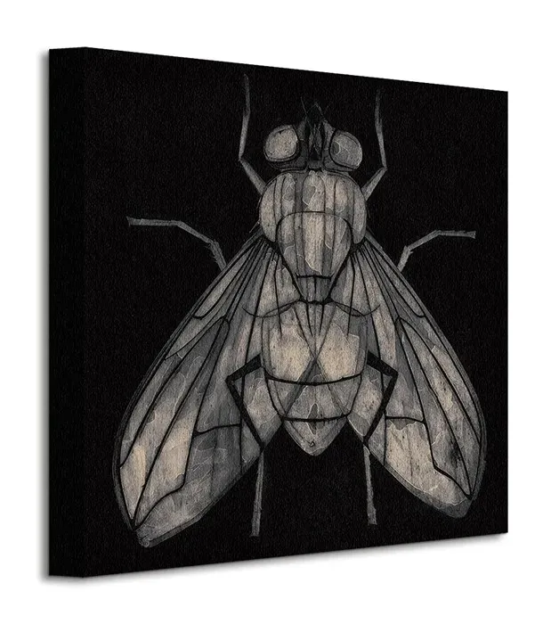 fly-obraz-na-plotnie-30x30-cm