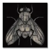 fly-obraz-na-plotnie-30x30-cm-stan-nowy