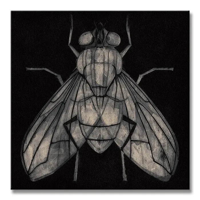 fly-obraz-na-plotnie-30x30-cm