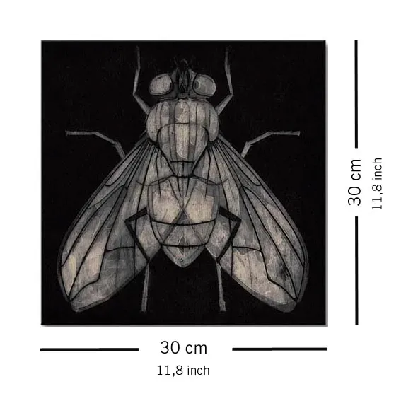fly-obraz-na-plotnie-30x30-cm-stan-nowy