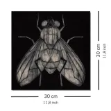 fly-obraz-na-plotnie-30x30-cm-stan-nowy