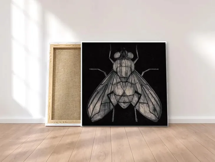 fly-obraz-na-plotnie-30x30-cm-stan-nowy