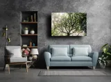 foggy-tree-obraz-na-plotnie-80x60-cm-stan-nowy