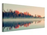 forest-reflections-obraz-na-plotnie-100x50-cm