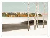 four-trees-obraz-na-plotnie-40x30-cm-stan-nowy