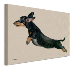 freddy-obraz-na-plotnie-80x60-cm