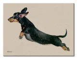 freddy-obraz-na-plotnie-80x60-cm-stan-nowy