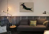 freddy-obraz-na-plotnie-80x60-cm-stan-nowy