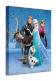 frozen-group-obraz-na-plotnie-40x50-cm