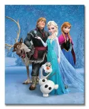 frozen-group-obraz-na-plotnie-40x50-cm-stan-nowy