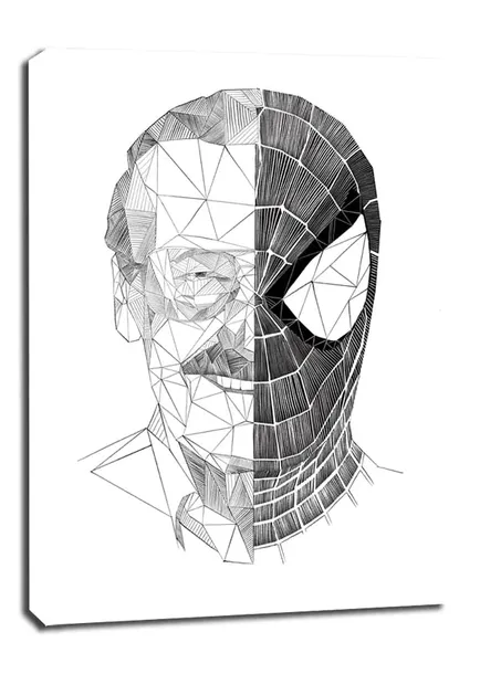 geometryczny-stan-lee-obraz-na-plotnie-30x40-cm