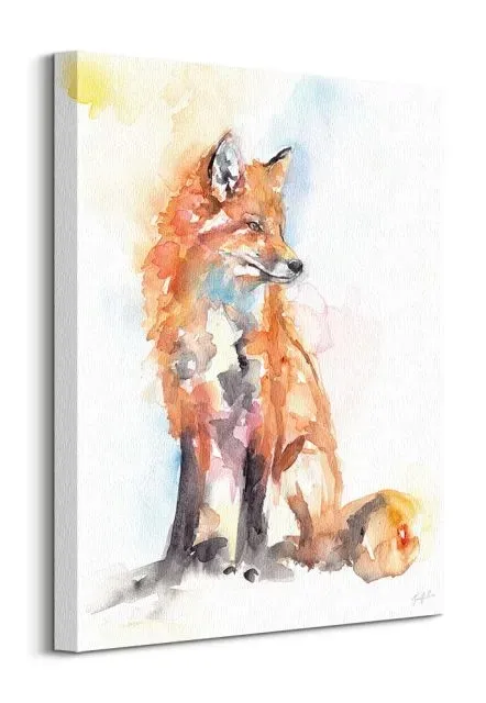 handsome-fox-obraz-na-plotnie-40x50-cm-stan-nowy