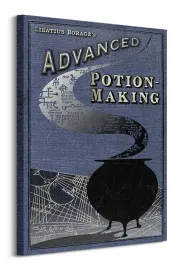 harry-potter-potion-making-obraz-na-plotnie-60x80-cm