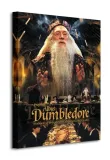 harry-potter-dumbledore-obraz-na-plotnie-40x50-cm