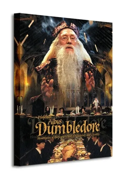 harry-potter-dumbledore-obraz-na-plotnie-40x50-cm