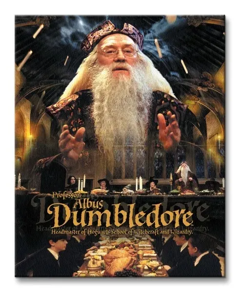 harry-potter-dumbledore-obraz-na-plotnie-40x50-cm