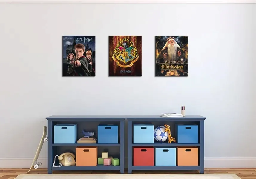 harry-potter-dumbledore-obraz-na-plotnie-40x50-cm-stan-nowy