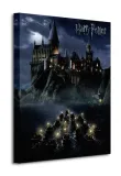 harry-potter-hogwarts-school-obraz-na-plotnie-40x50-cm
