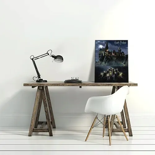 harry-potter-hogwarts-school-obraz-na-plotnie-40x50-cm-stan-nowy