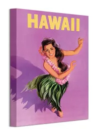 hawaii-obraz-na-plotnie-30x40-cm