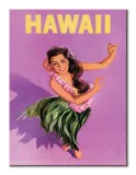 hawaii-obraz-na-plotnie-30x40-cm-stan-nowy