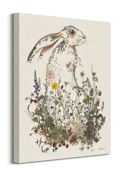 hiding-hare-obraz-na-plotnie-40x50-cm
