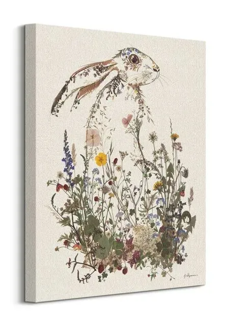 hiding-hare-obraz-na-plotnie-40x50-cm