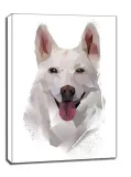 husky-obraz-na-plotnie-40x50-cm