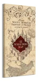 harry-potter-the-marauders-map-obraz-na-plotnie-50x100-cm