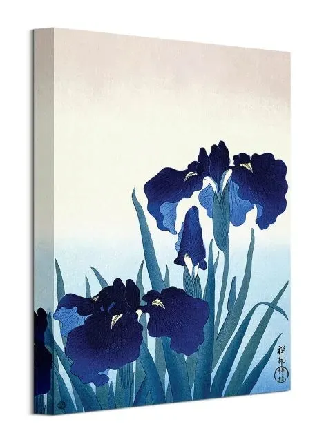 iris-flowers-obraz-na-plotnie-30x40-cm