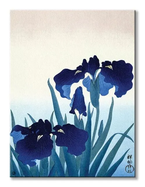 iris-flowers-obraz-na-plotnie-30x40-cm