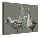 having-a-gander-obraz-na-plotnie-40x30-cm