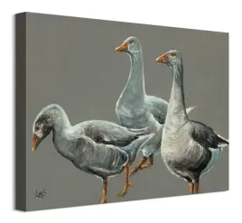 having-a-gander-obraz-na-plotnie-40x30-cm