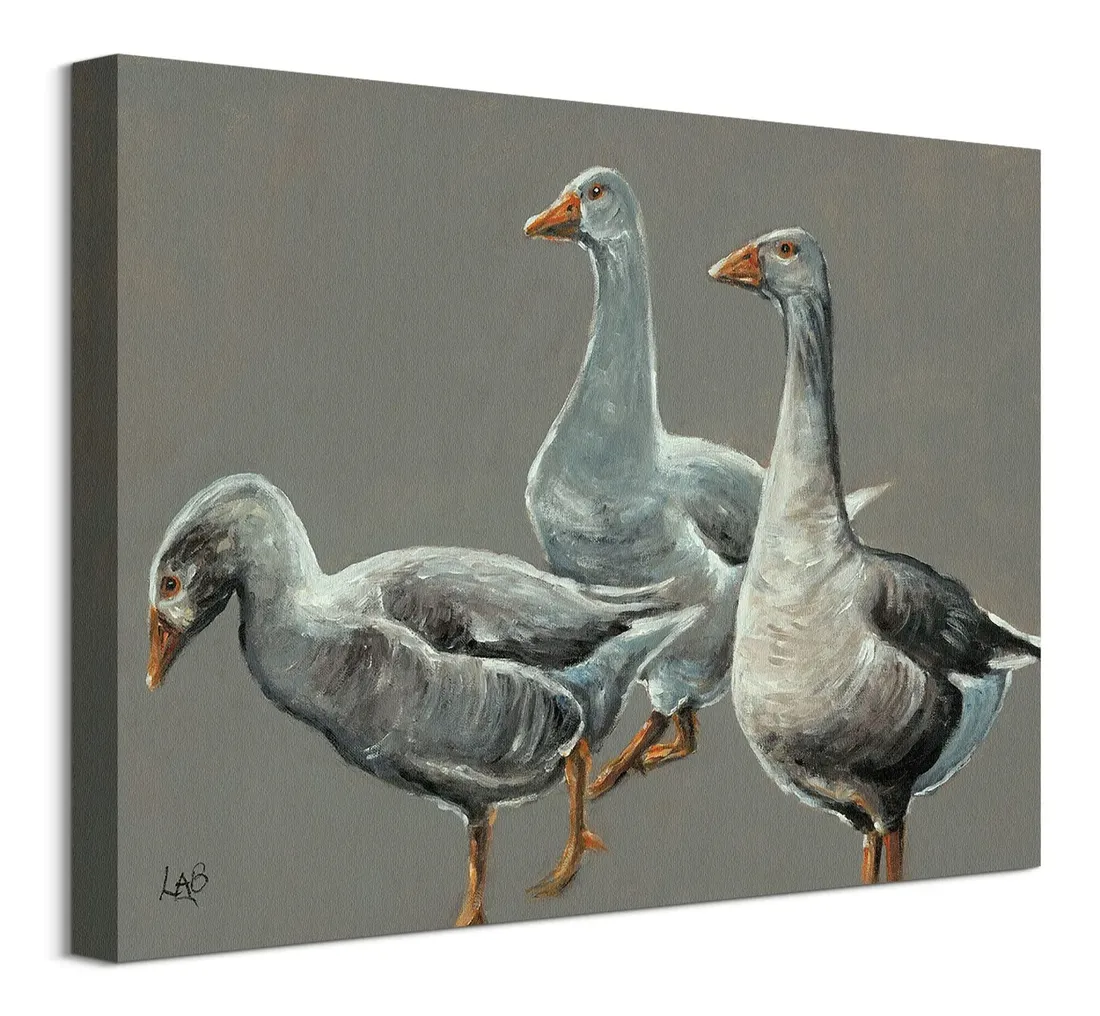 having-a-gander-obraz-na-plotnie-40x30-cm