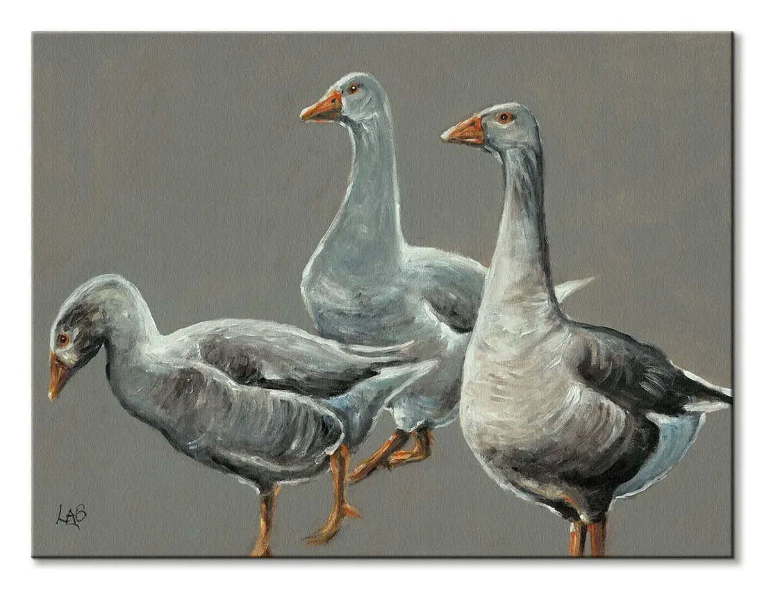 having-a-gander-obraz-na-plotnie-40x30-cm