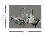 having-a-gander-obraz-na-plotnie-40x30-cm-stan-nowy