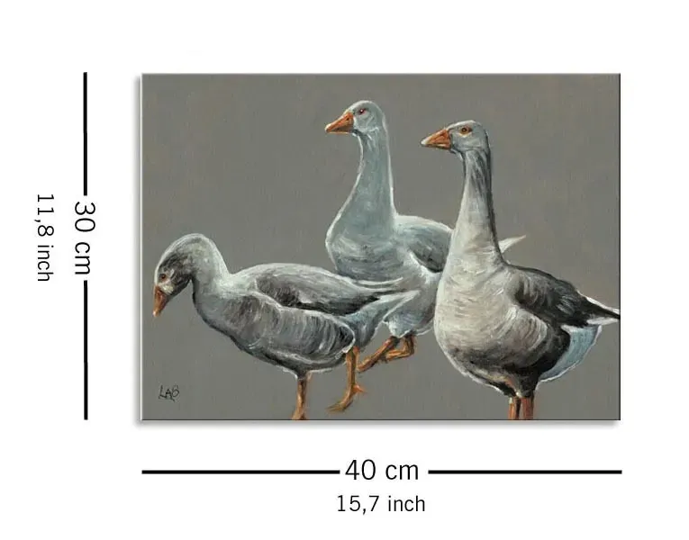 having-a-gander-obraz-na-plotnie-40x30-cm-stan-nowy