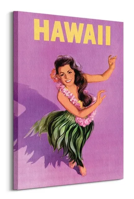 hawaii-obraz-na-plotnie-60x80-cm-stan-nowy