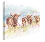 highland-herd-obraz-na-plotnie-80x60-cm