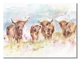 highland-herd-obraz-na-plotnie-80x60-cm-stan-nowy