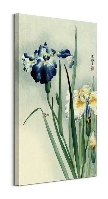 irises-obraz-na-plotnie-30x60-cm