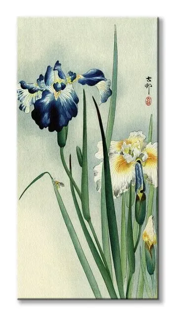 irises-obraz-na-plotnie-30x60-cm
