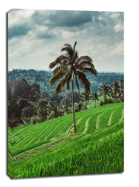 jatiluwih-tree-obraz-na-plotnie-40x60-cm