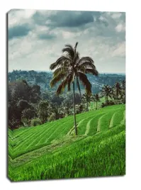 jatiluwih-tree-obraz-na-plotnie-40x60-cm