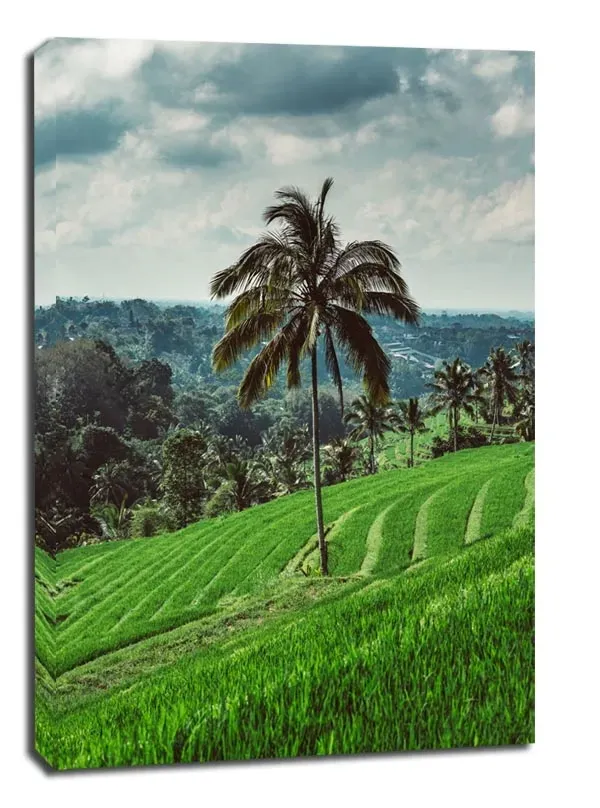 jatiluwih-tree-obraz-na-plotnie-40x60-cm