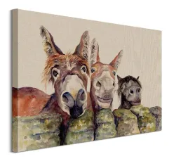 johnny-freckles-and-halfpint-obraz-na-plotnie-80x60-cm