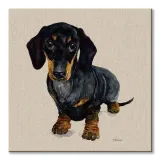 jamnik-obraz-na-plotnie-40x40-cm-stan-nowy